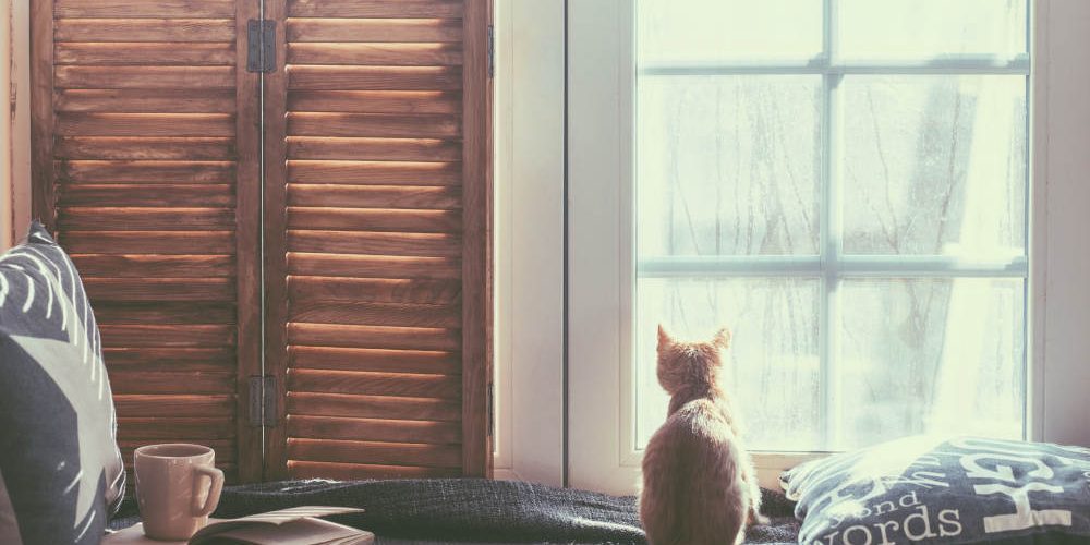 Tips for Cleaning Windows | Victorville Vern's Glass Installations