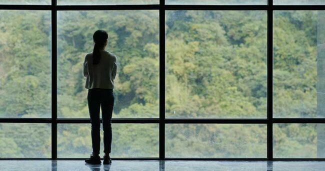 Insulated Glass Energy-Efficient Windows